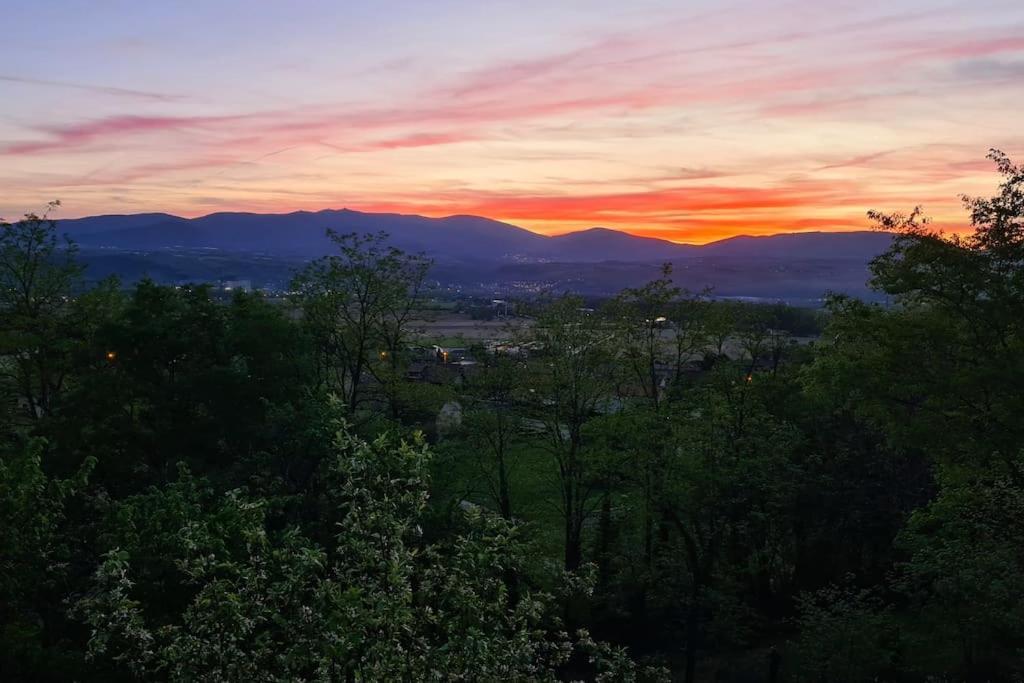 Gite De 70M² Avec Vue Sur Le Massif Du Pilat Clonas-sur-Vareze Екстериор снимка