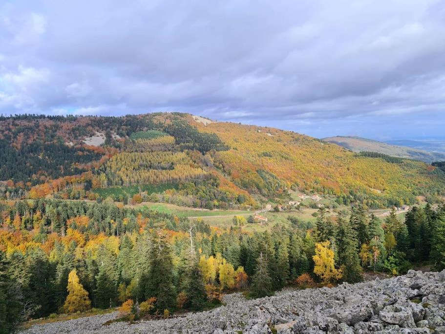 Gite De 70M² Avec Vue Sur Le Massif Du Pilat Clonas-sur-Vareze Екстериор снимка