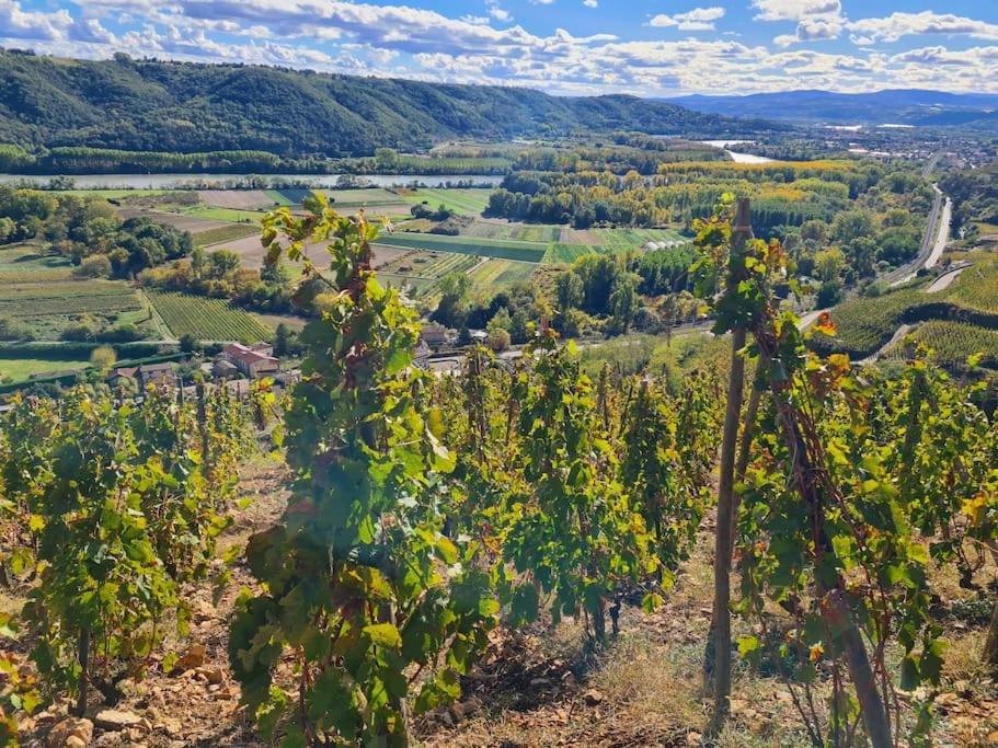 Gite De 70M² Avec Vue Sur Le Massif Du Pilat Clonas-sur-Vareze Екстериор снимка