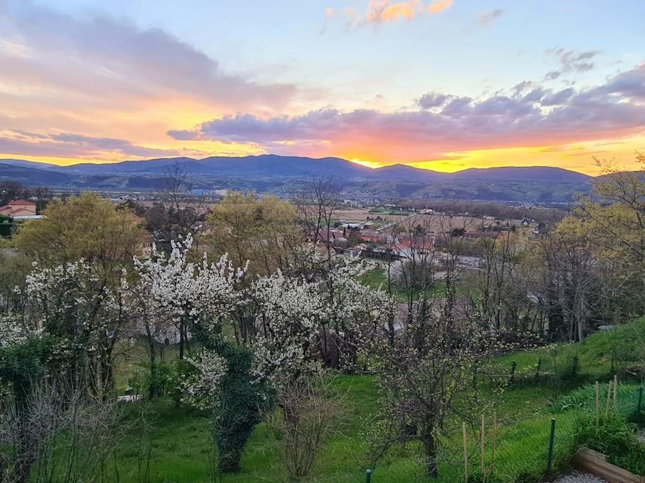 Gite De 70M² Avec Vue Sur Le Massif Du Pilat Clonas-sur-Vareze Екстериор снимка